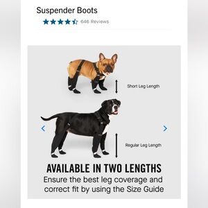 Canada Pooch Suspender Boots | Black | Sz 6